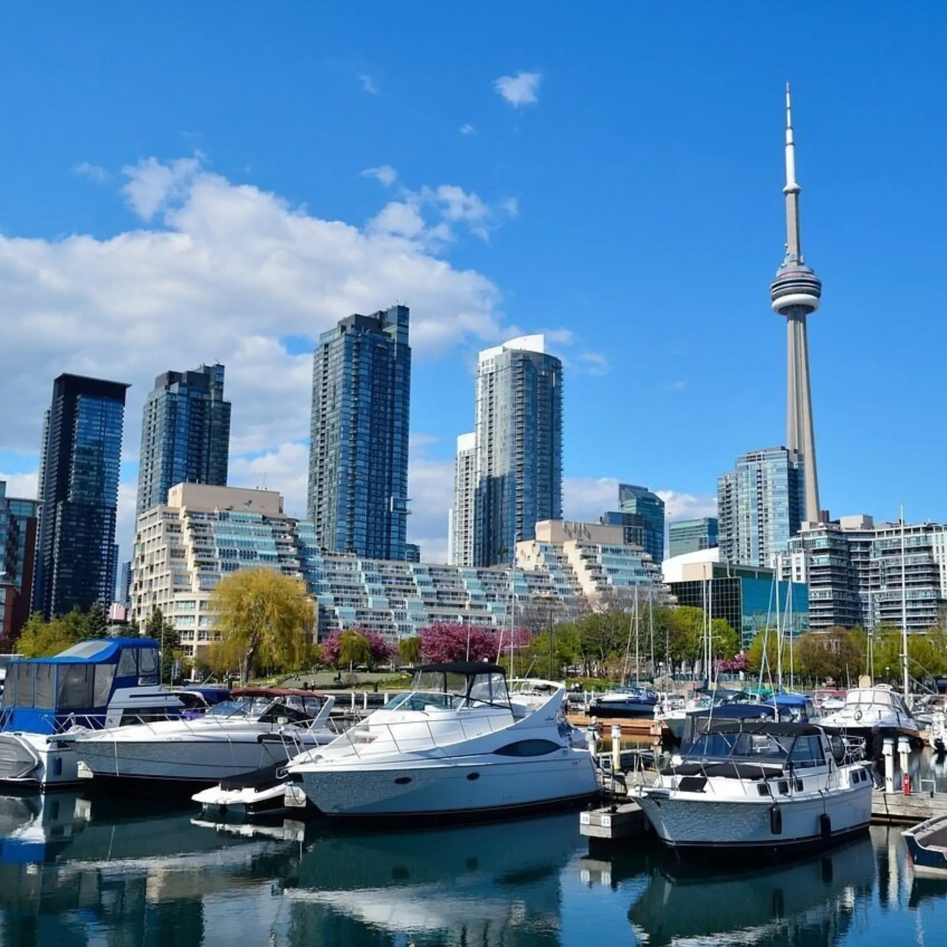 Toronto 1426205 1280
