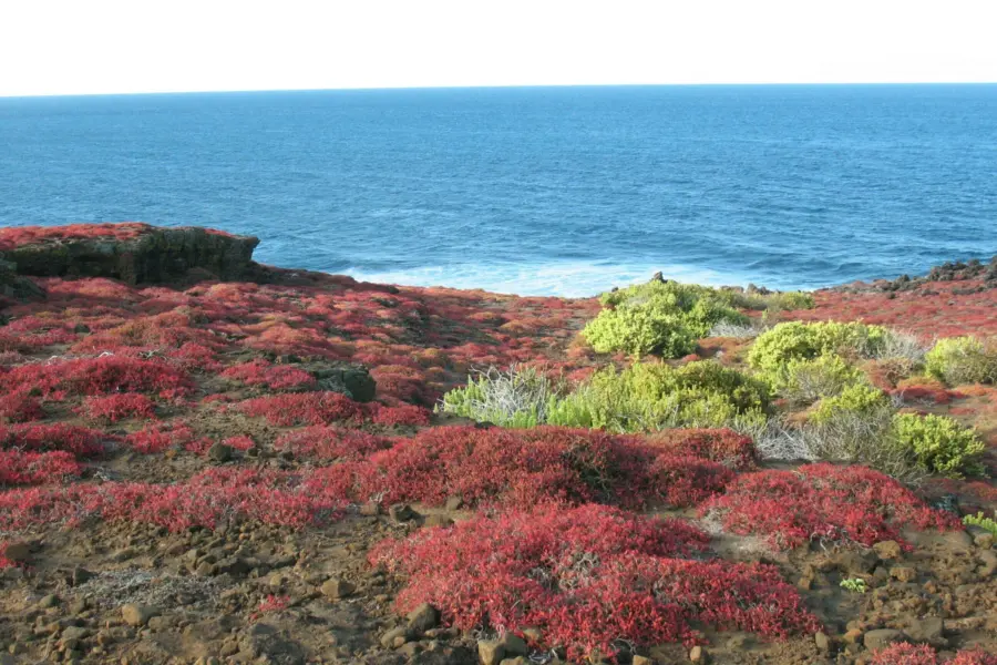 Gabriela larreategui guef0tqbjgc unsplash