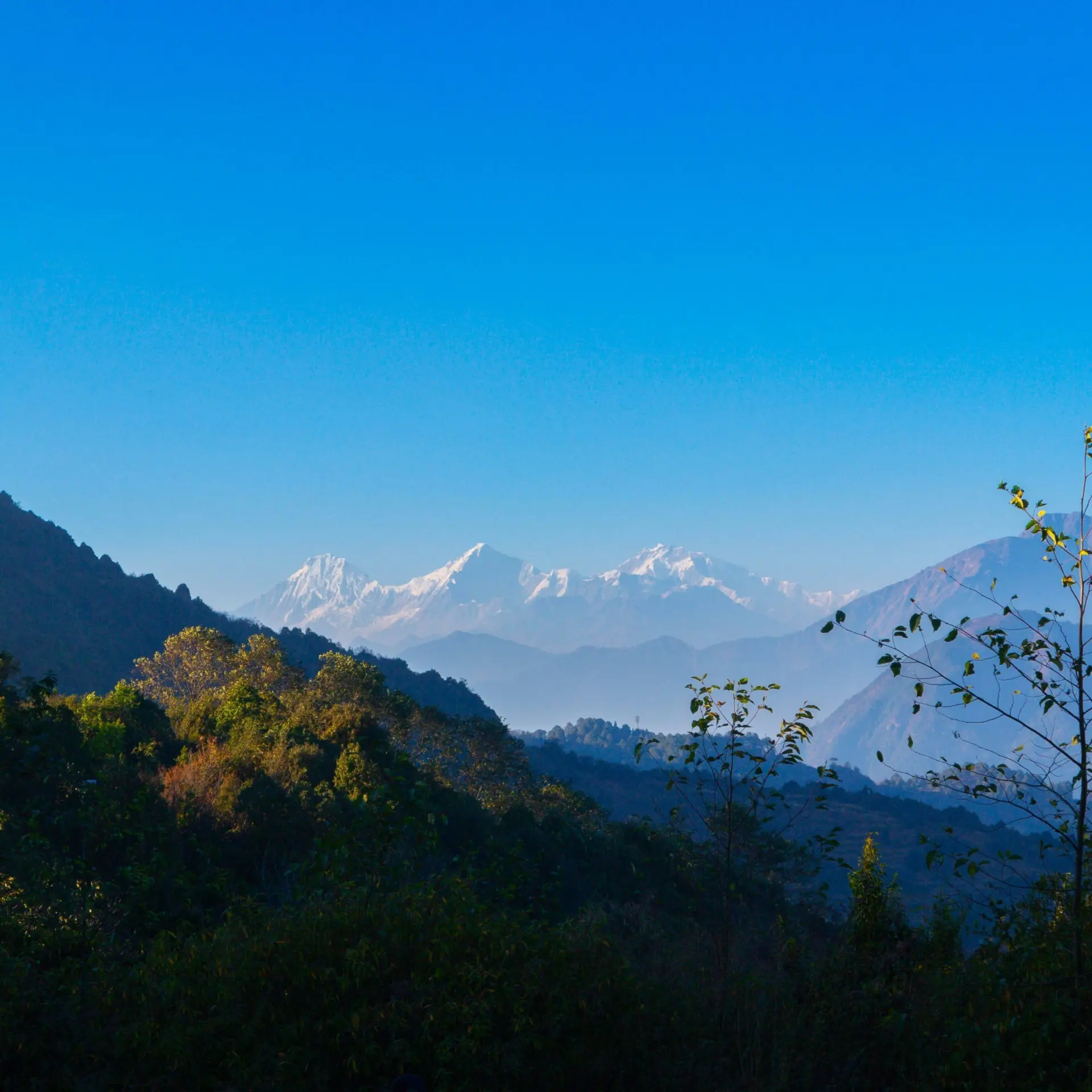 Swornim shakya s5y6bkaxcoy unsplash