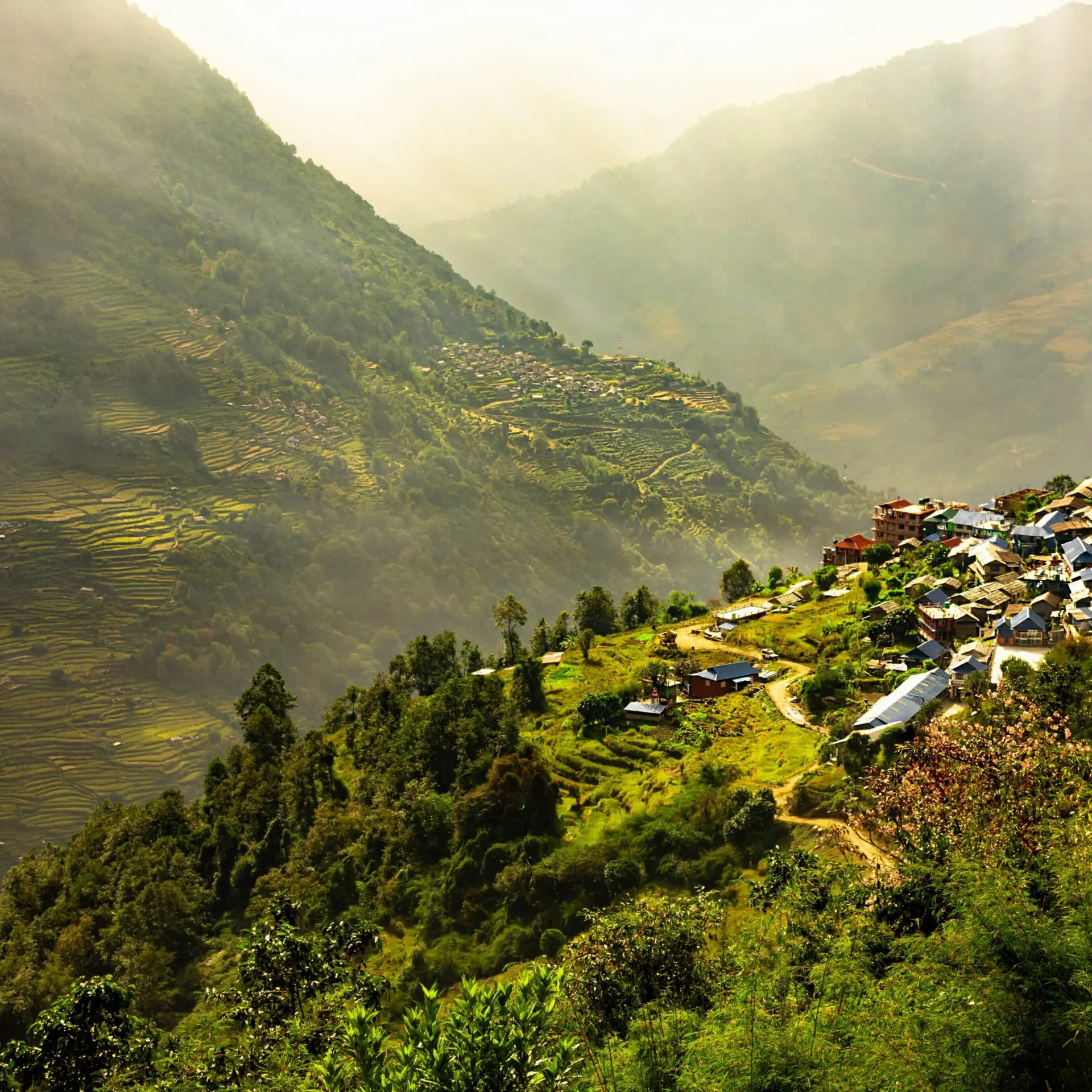 Azin javadzadeh ducj7obhxfe unsplash