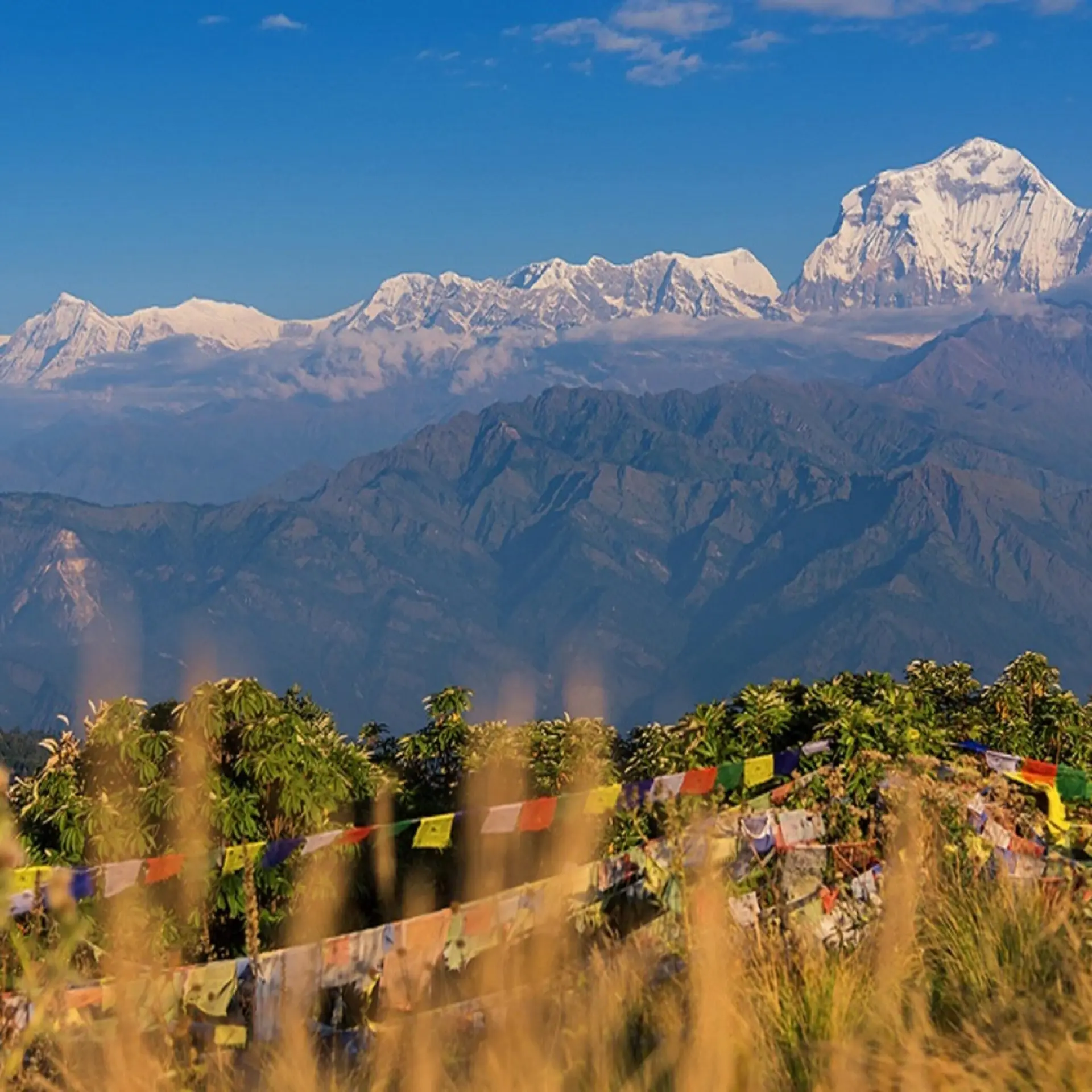 Poon hill trek 41
