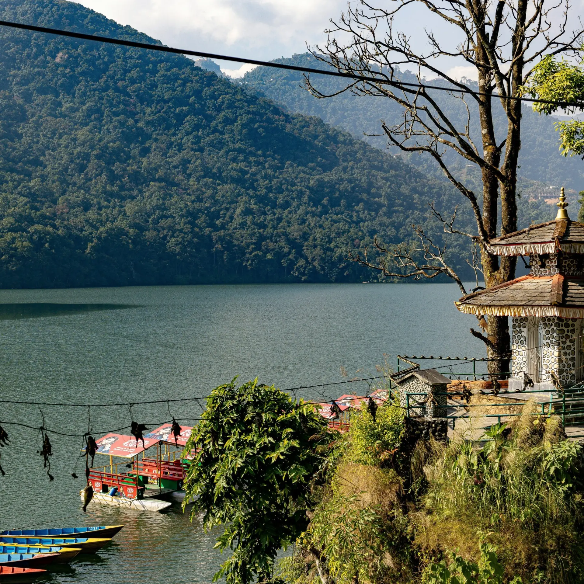 Martijn vonk w8d10smjeje unsplash