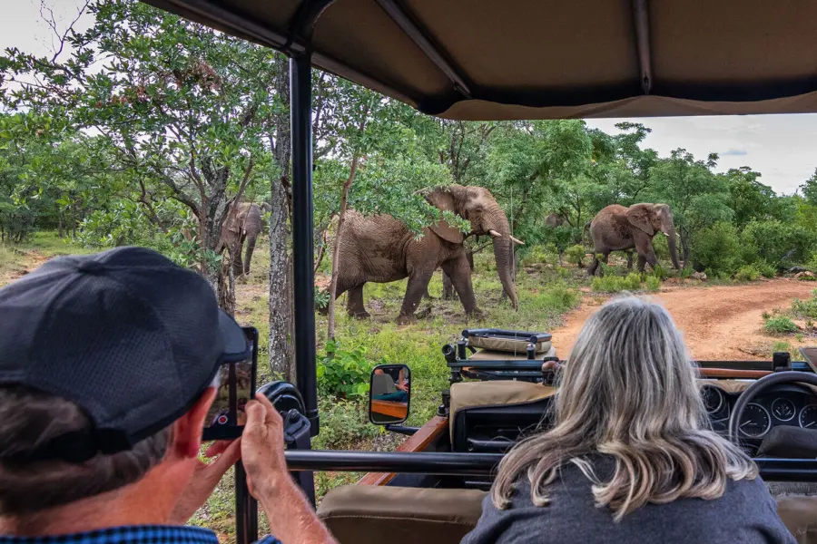 Kaingo Game Drive 46