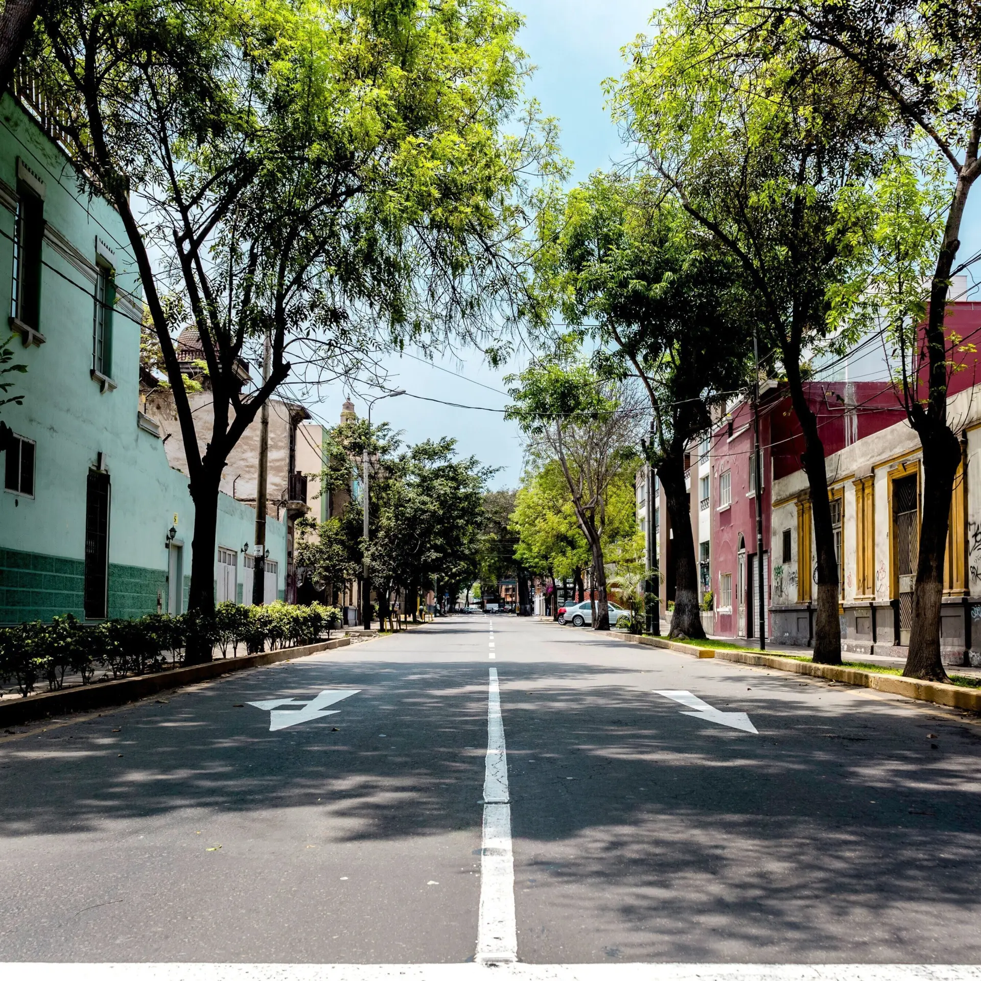 Andres urena e8aox5rids unsplash