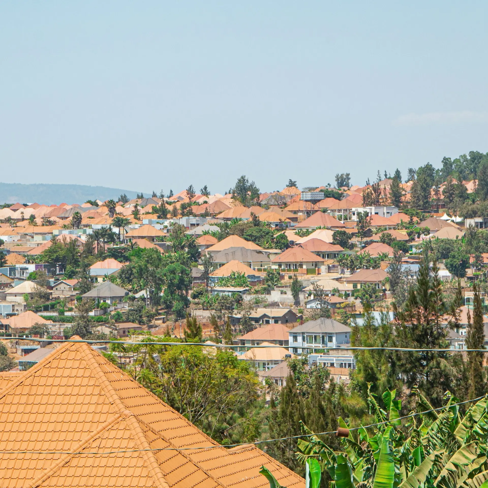 Xavier praillet viku8k xj54 unsplash