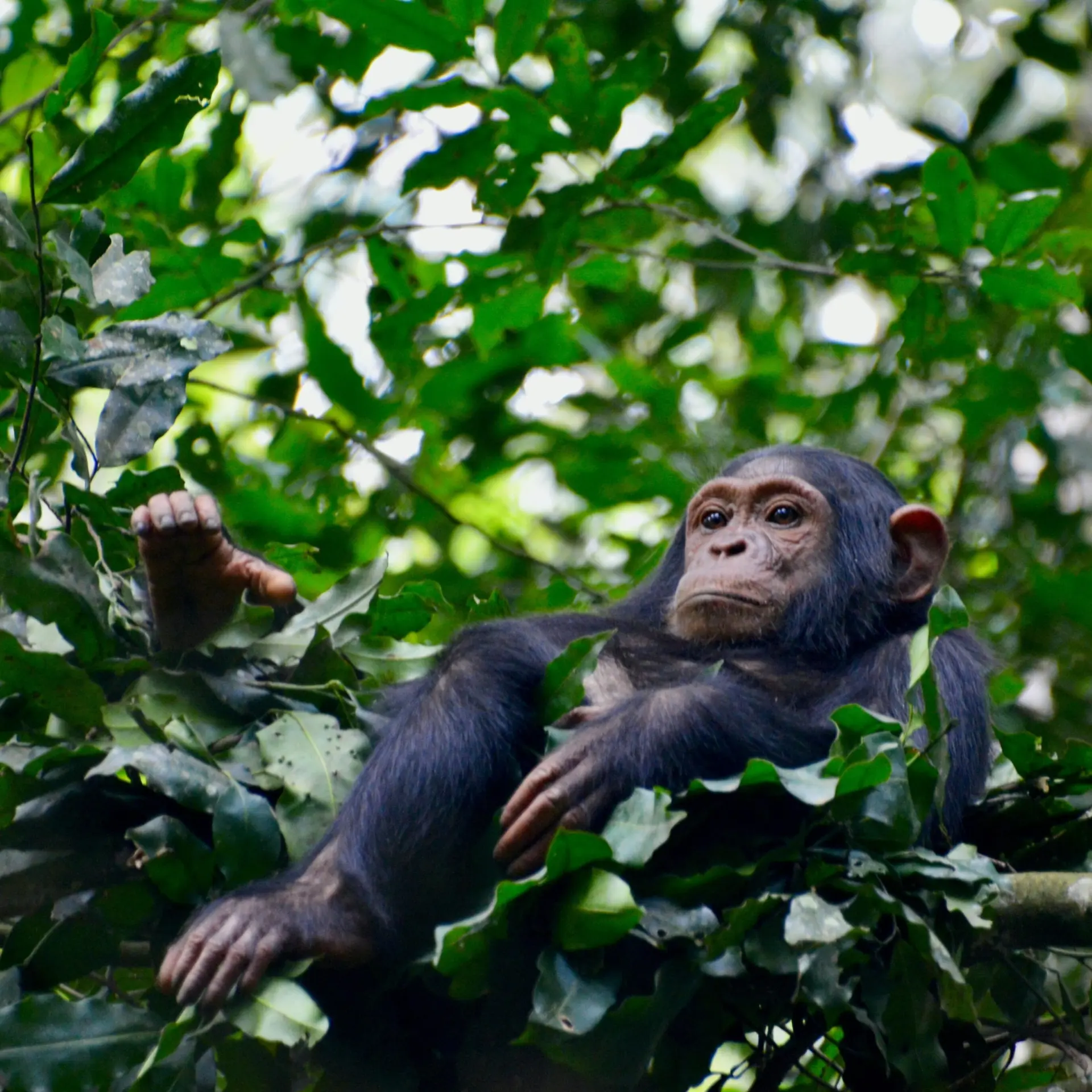 1764852137814fabiana rizzi xqzv zyofym unsplash