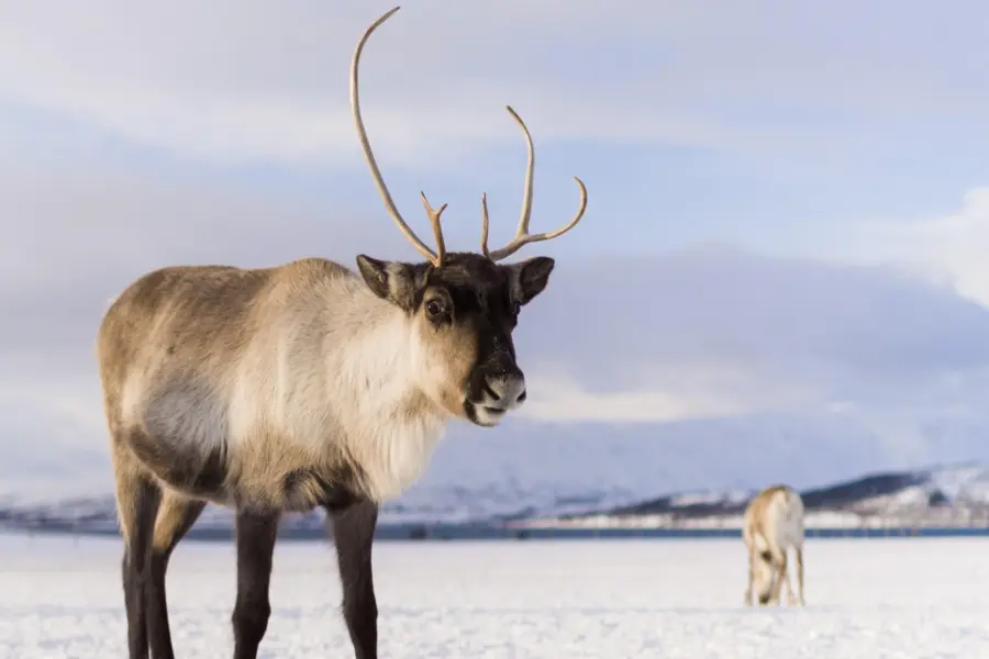 Nicolas lafargue 3v1gbl9pwe4 unsplash