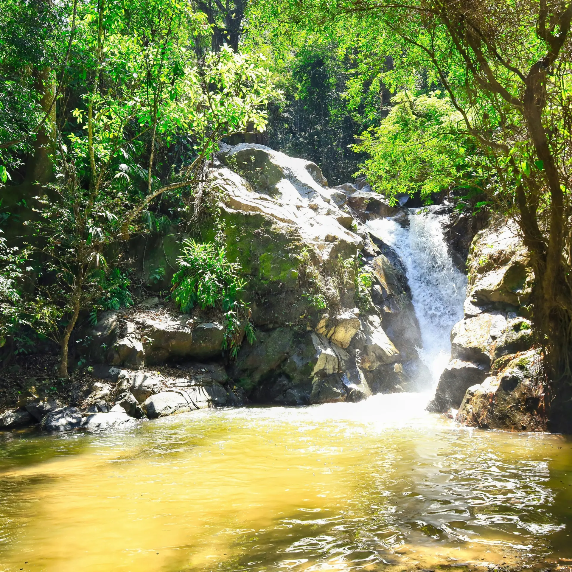 Chema photo p7b5sipxrnk unsplash