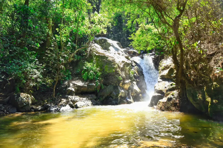 Chema photo p7b5sipxrnk unsplash