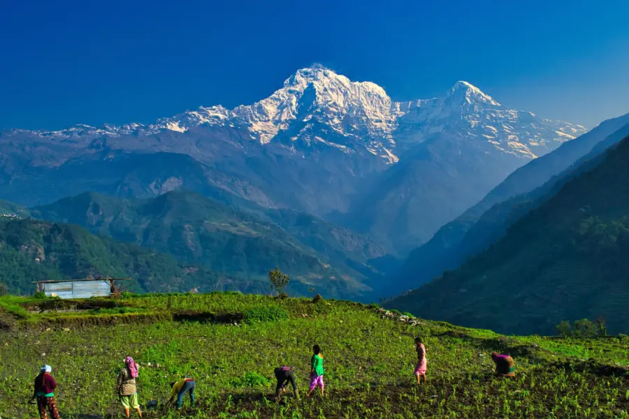 Annapura trekking1