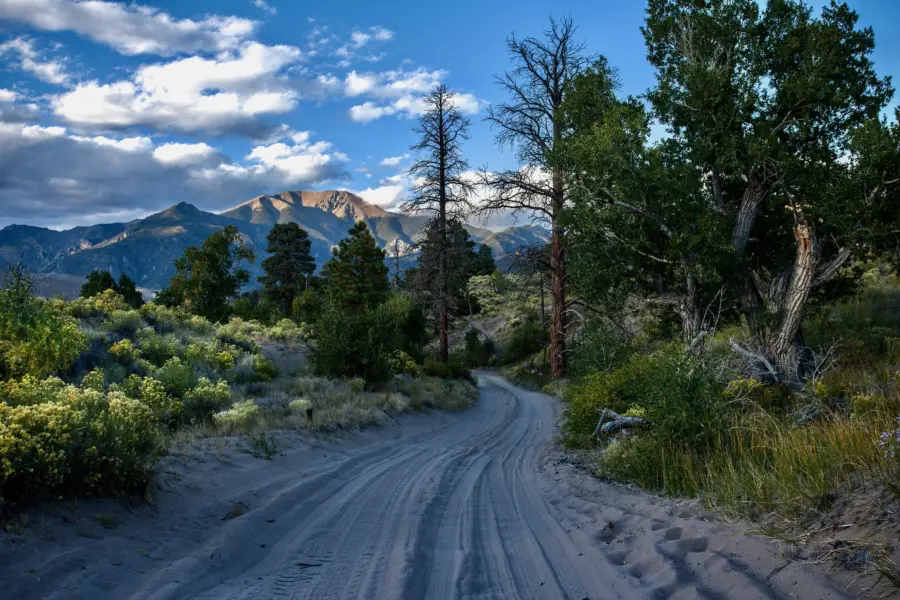Gary smith zcwk2ng4fd0 unsplash1