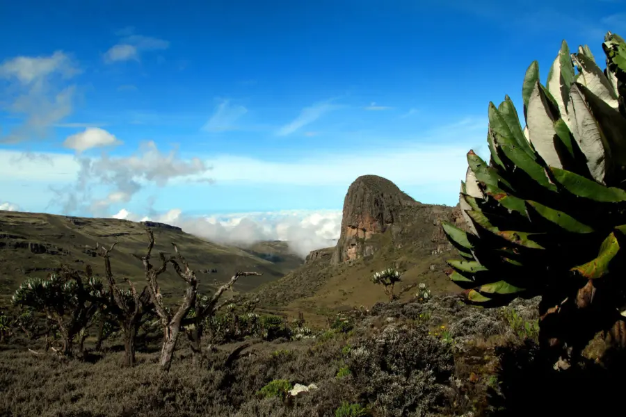 Mount elgon 2