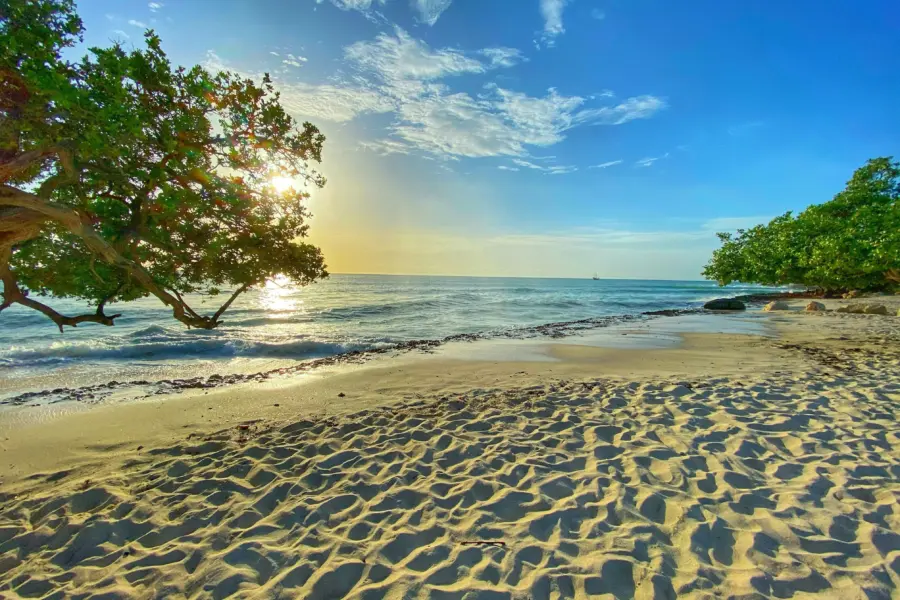 Gregory wangsadikrama tmnw1aby2do unsplash