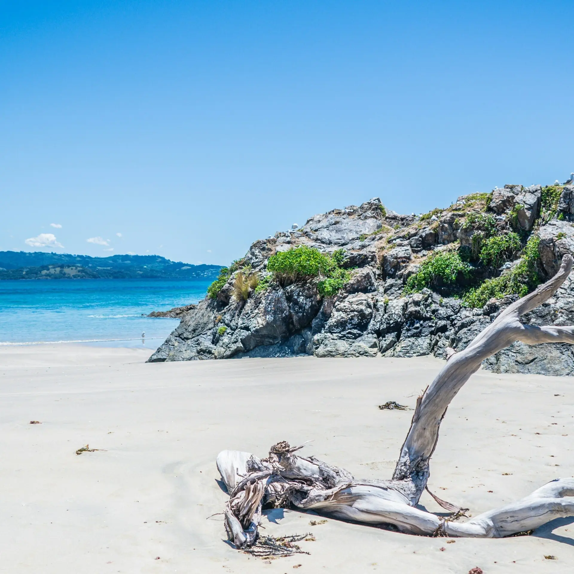 Toby hall E Tt S35j1 8 unsplash