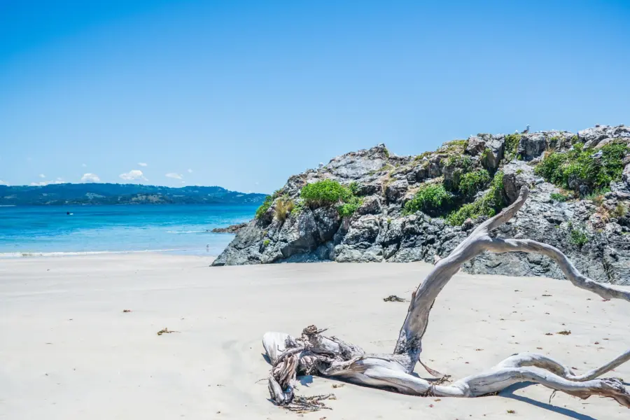 Toby hall E Tt S35j1 8 unsplash