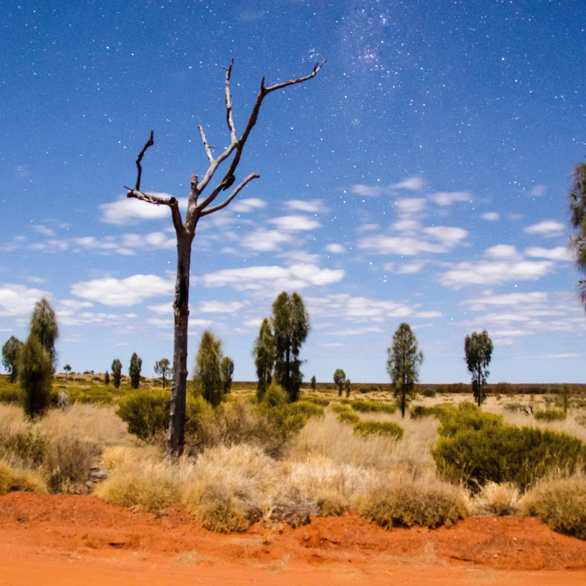 Melanie dretvic ljw8u2wypky unsplash