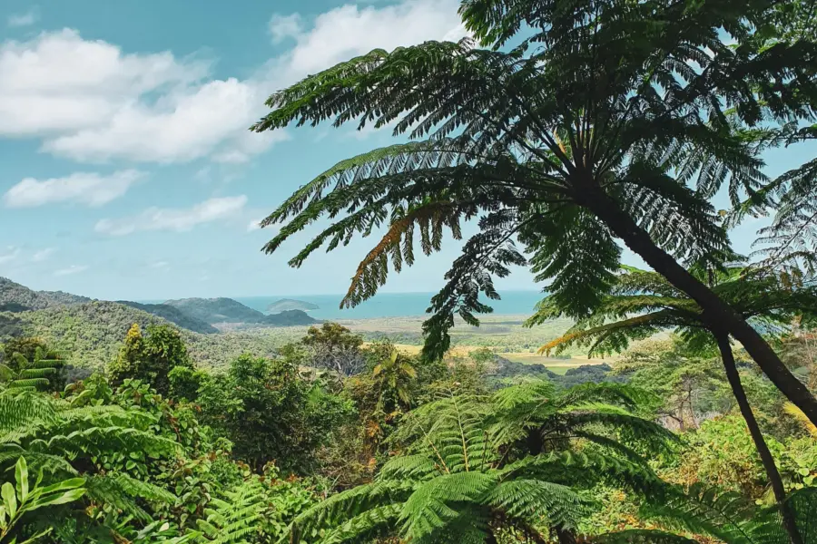 Federico garcia mqxp65uefje unsplash1