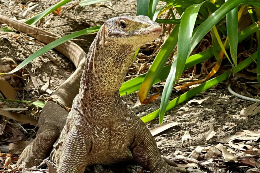 John cameron 2kcvif5i33i unsplash1