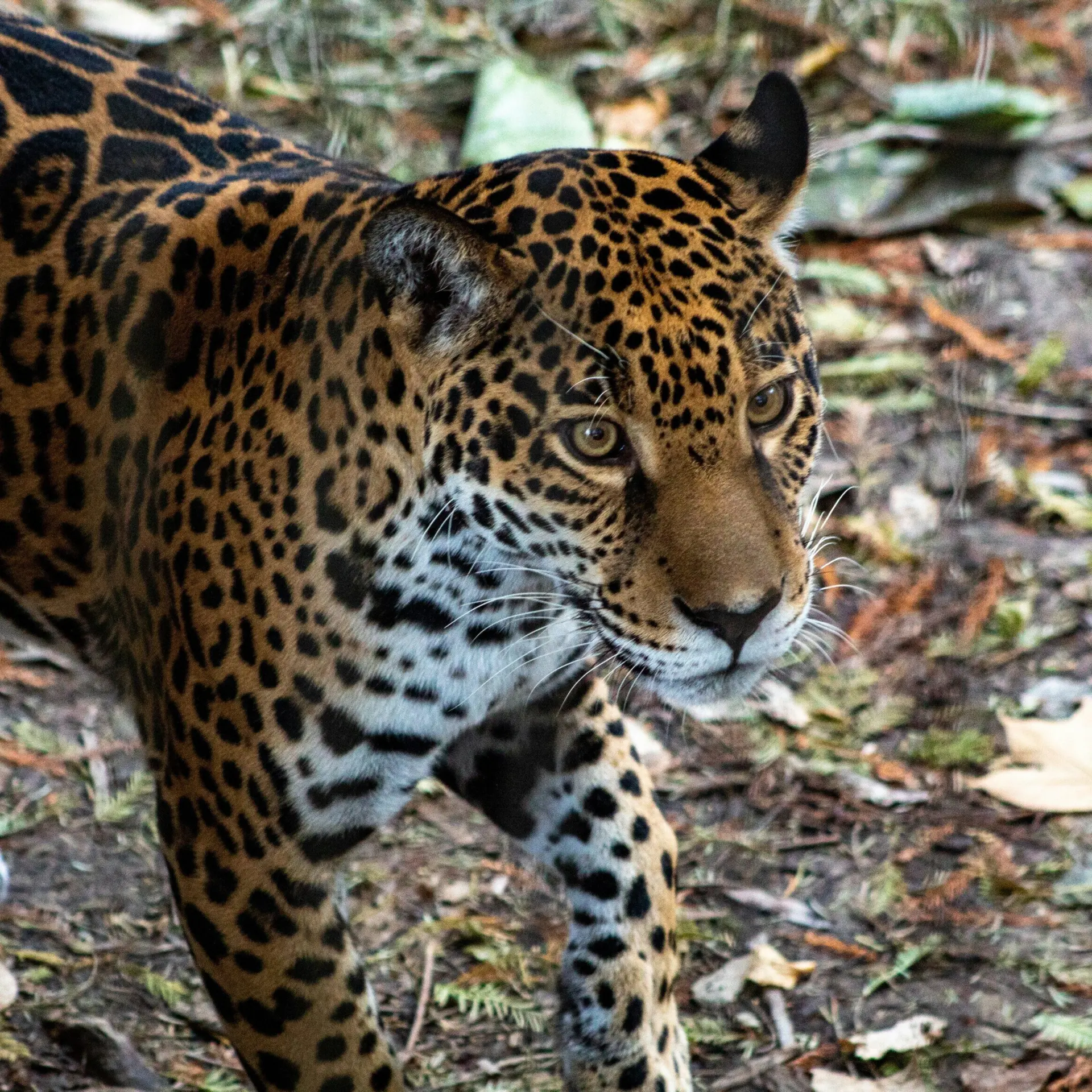 1761729004816joshua j cotten zenddnhlucc unsplash