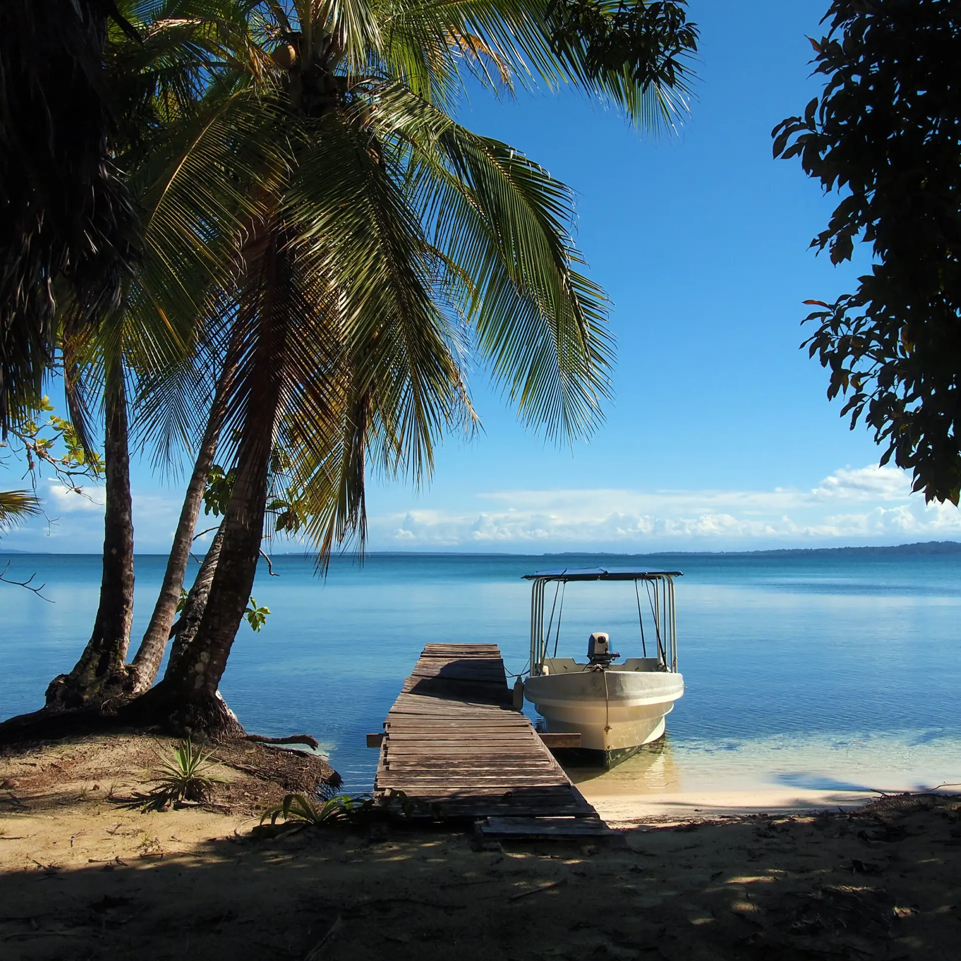 Shutterstock 133234697