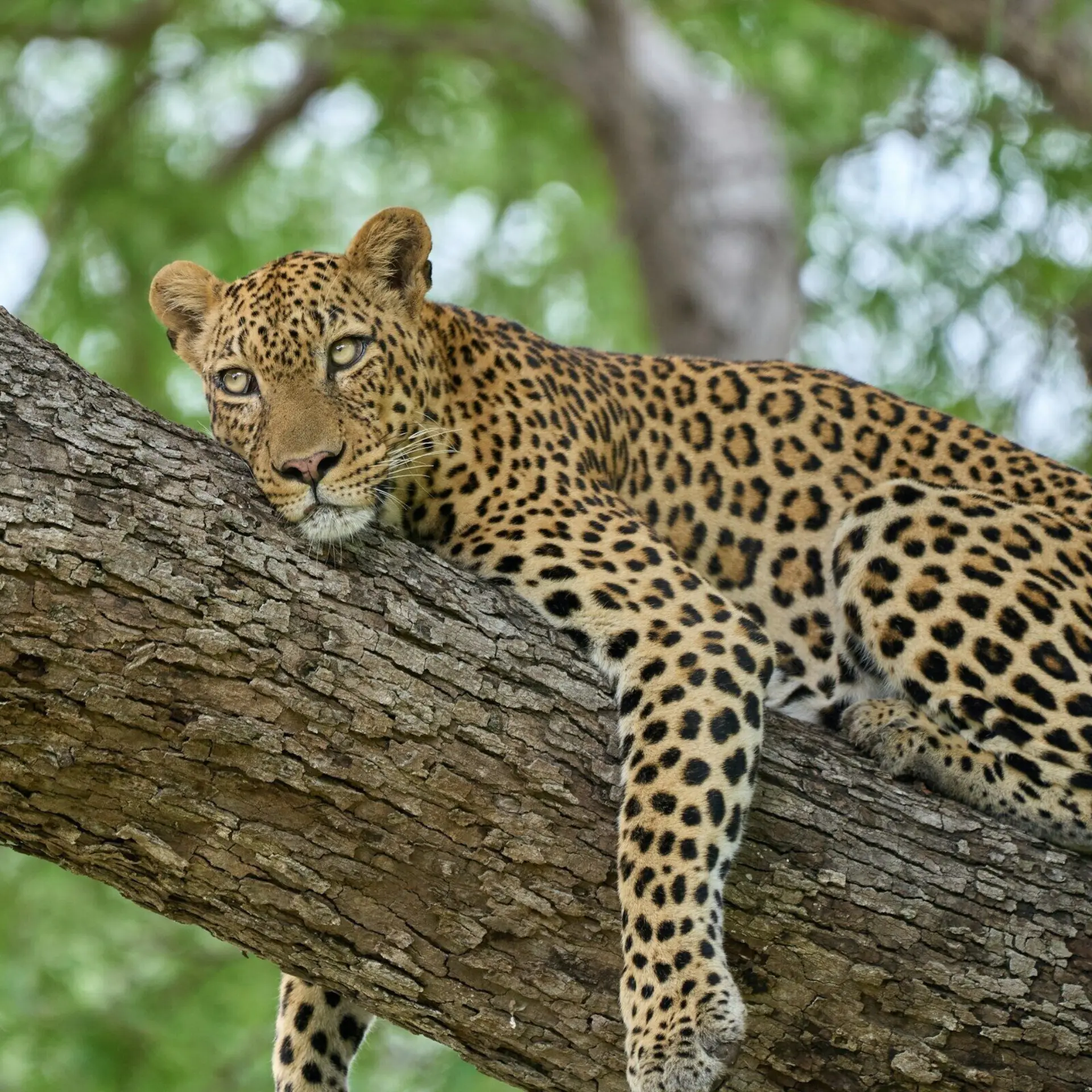 Dmitrii zhodzishskii r Fpgh Uo4 SQM unsplash