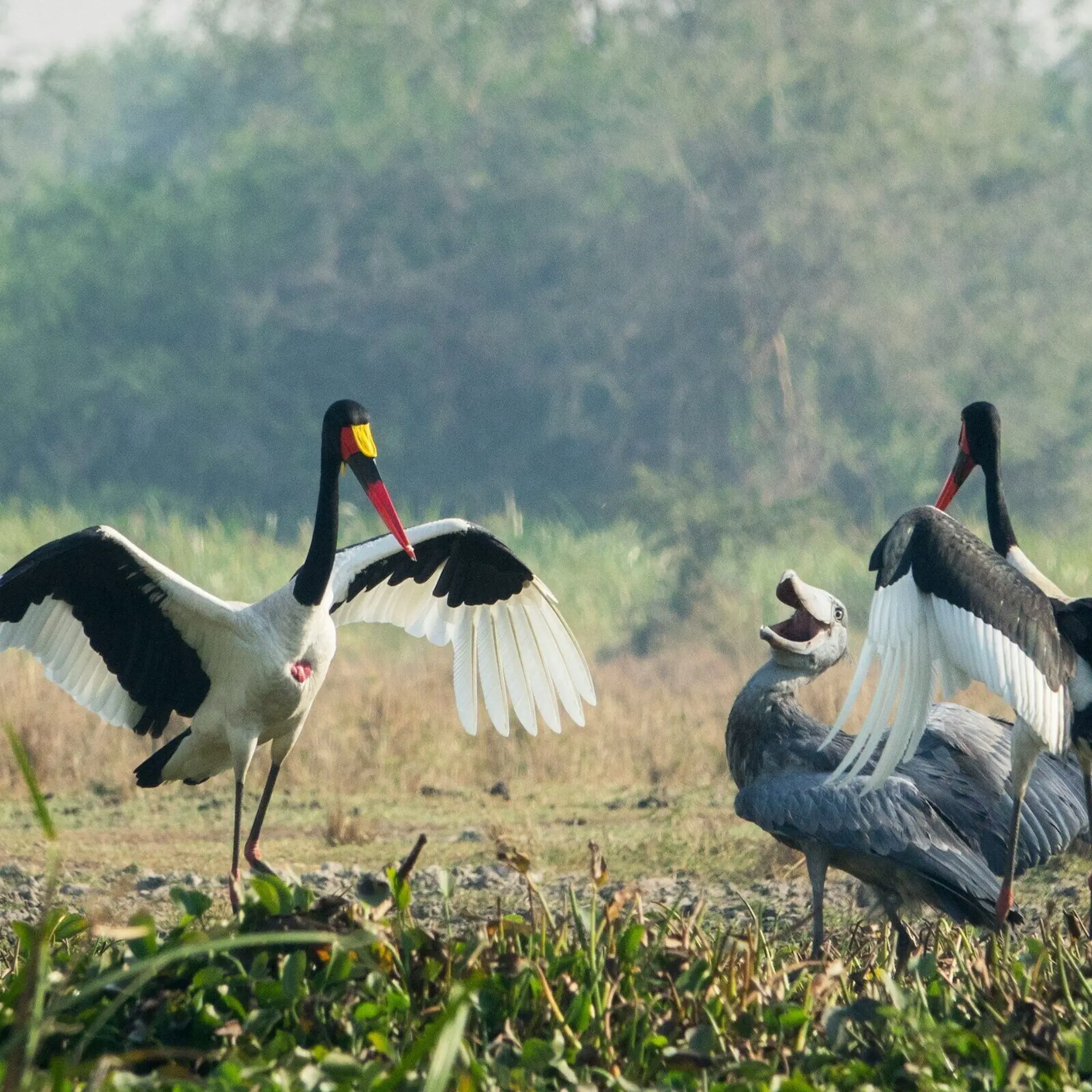 Wietse jongsma Ryw7 A4cla4s unsplash