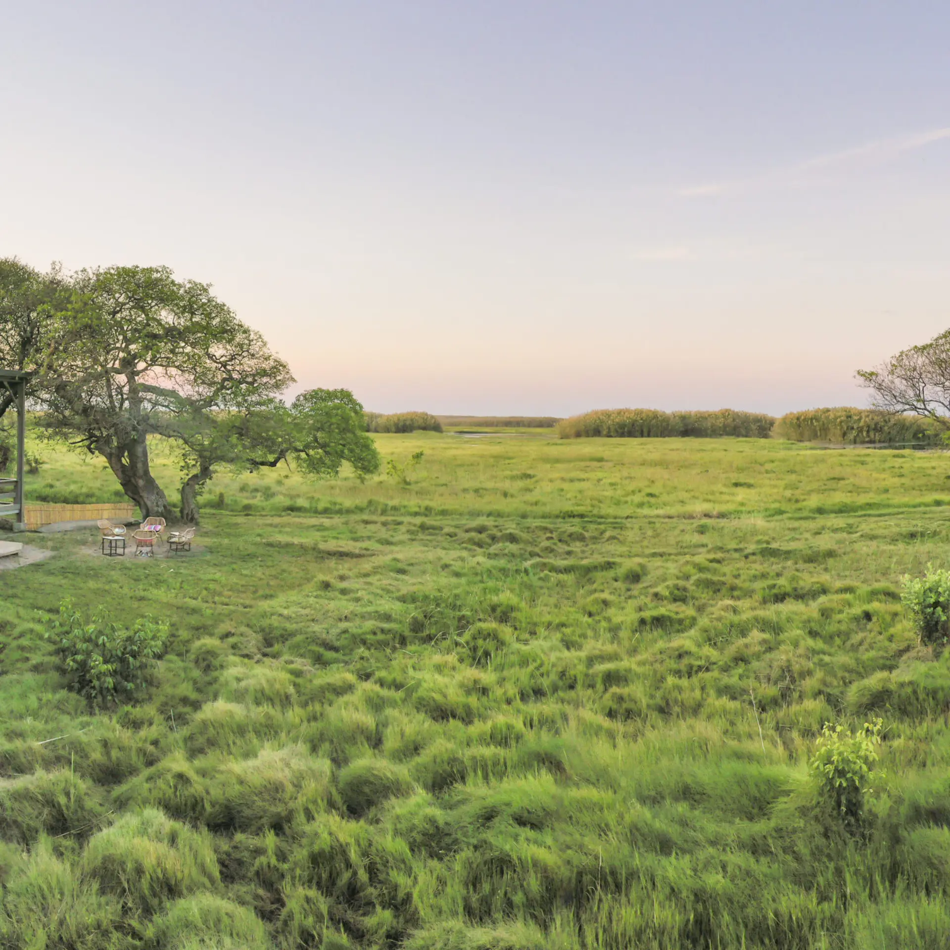 Bangweulu pbentley 34