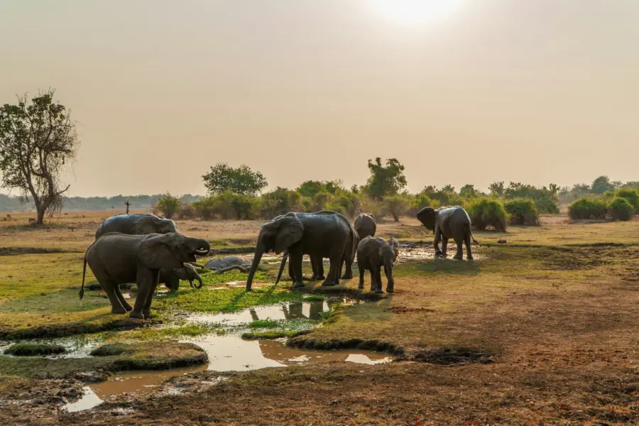 Ed wingate W Ejpp L8 Fwx Y unsplash