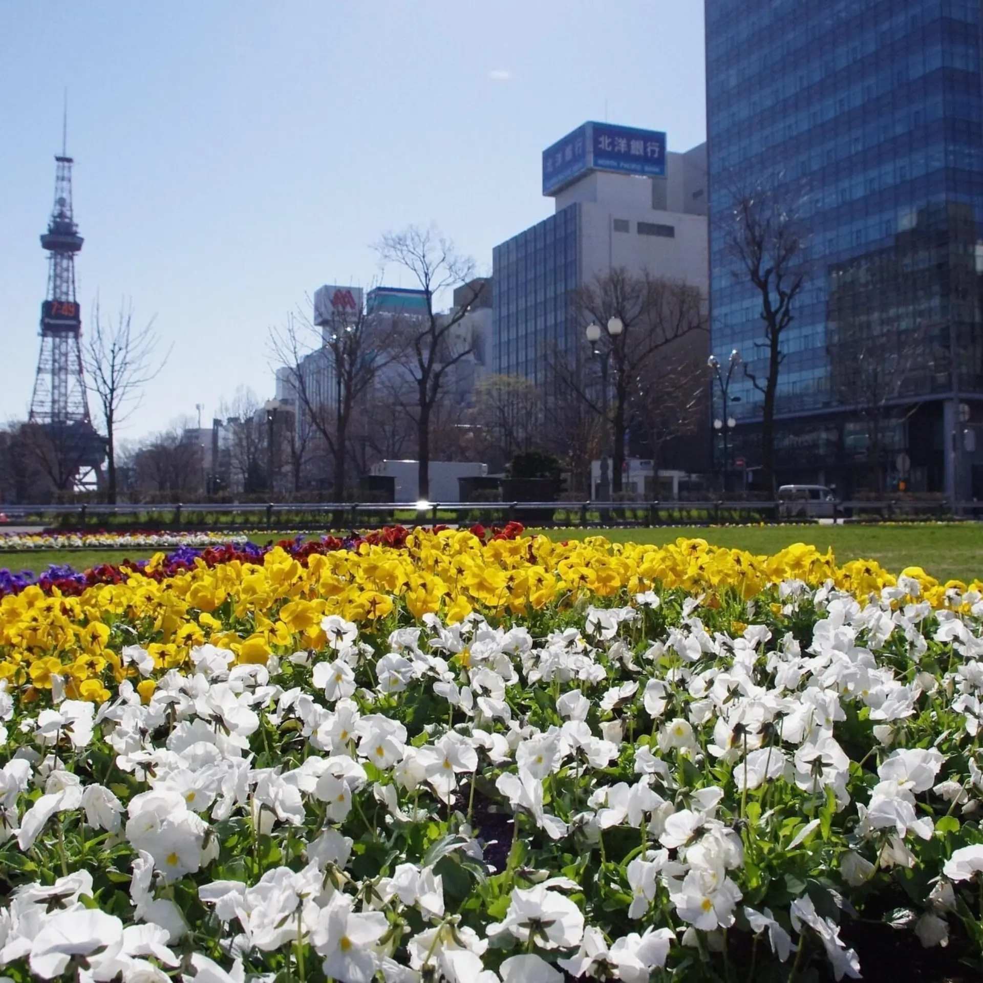 May hokkaido flowerbed 5165170 1920