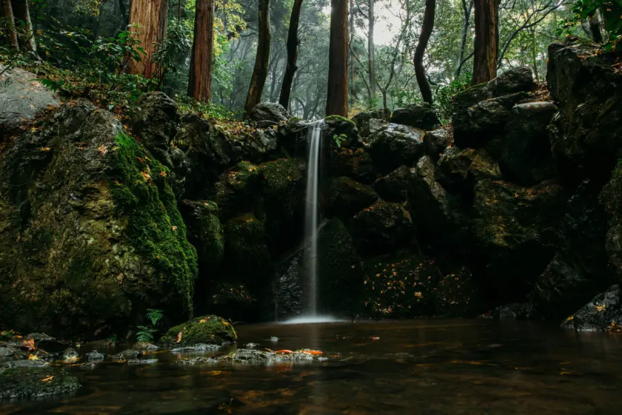Steven diaz uqbltn3rxde unsplash