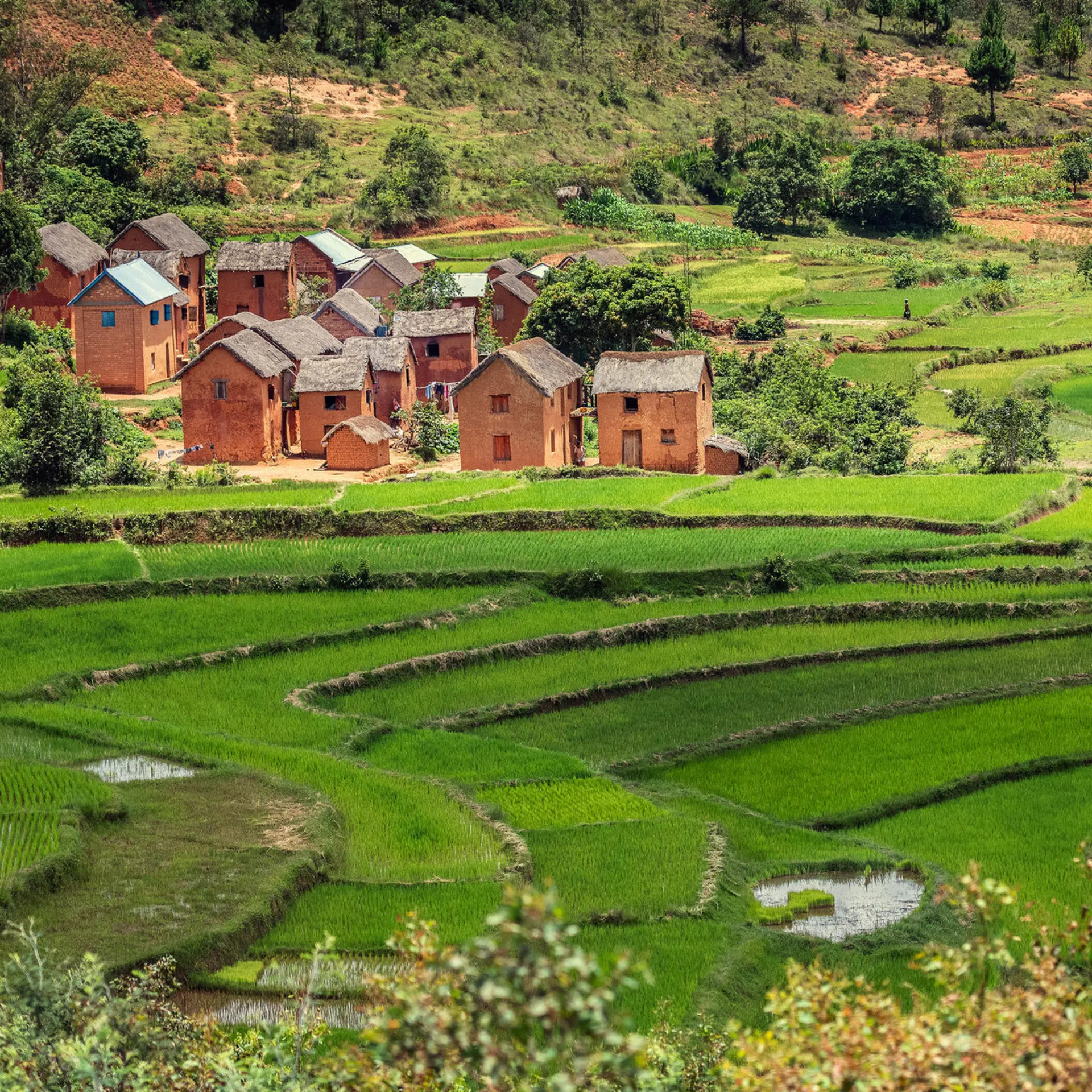 Avila Reizen madagaskar landschap