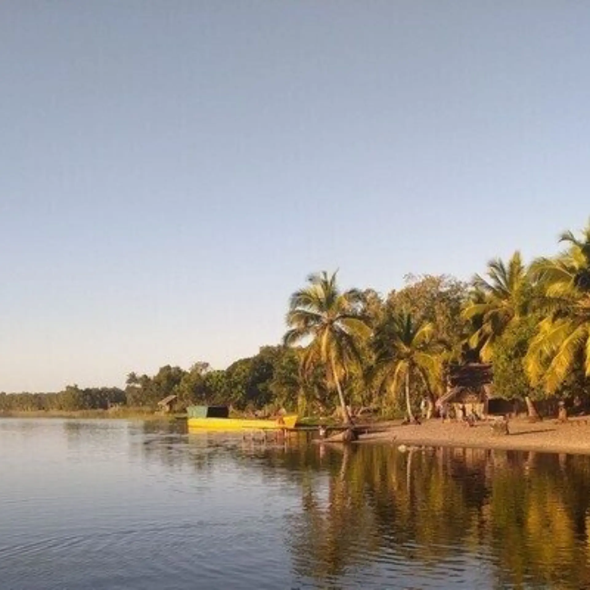 La reserve palmarium 2