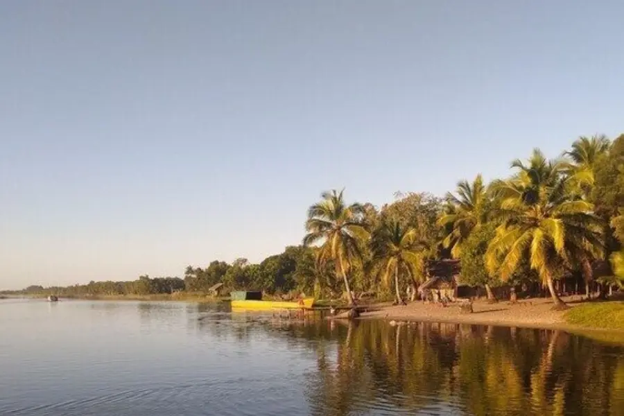 La reserve palmarium 2