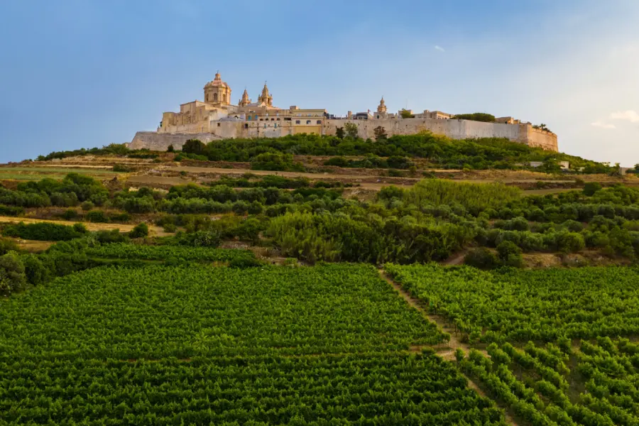 Shutterstock1746340535