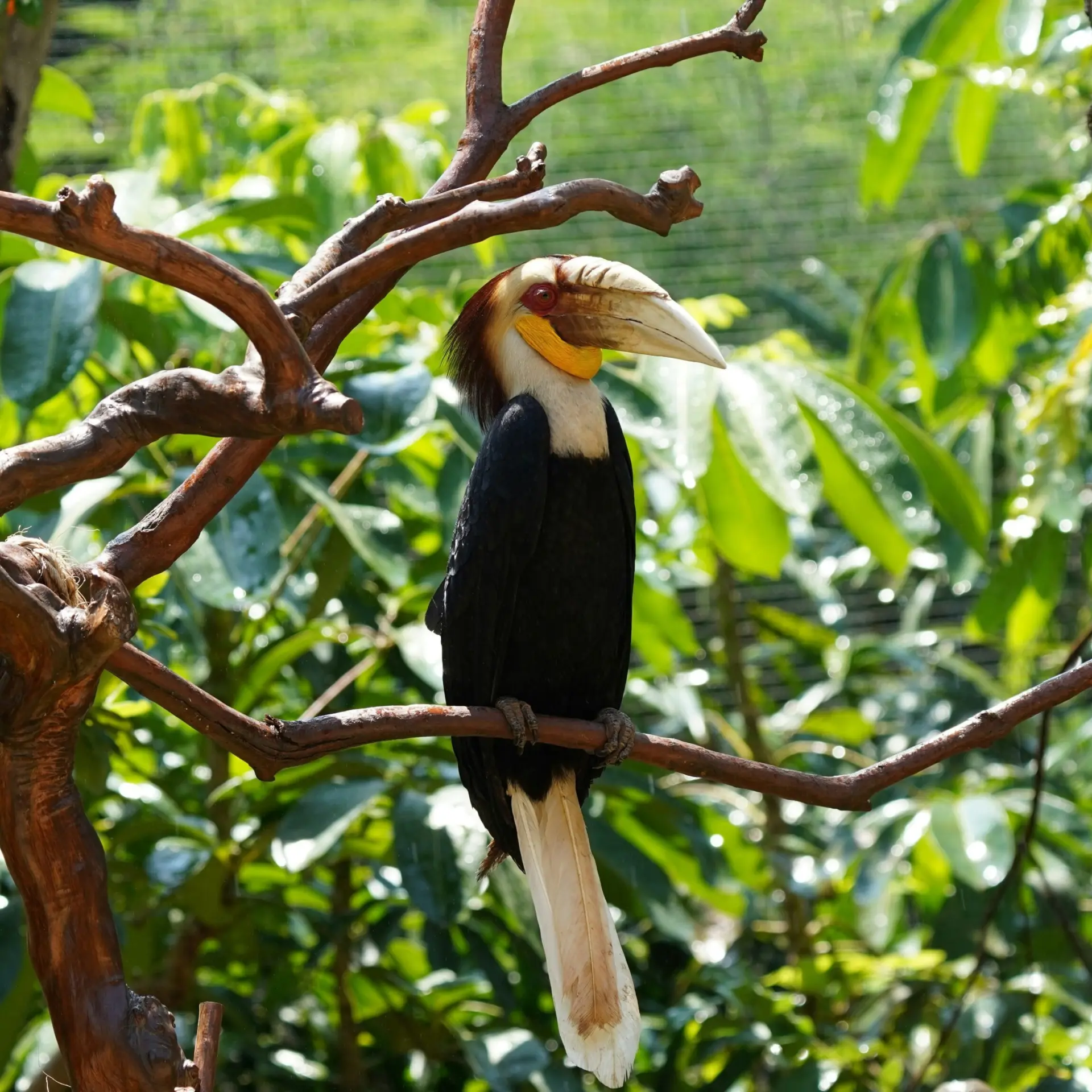 Eka kurniawan muchiar owkuupfhxiu unsplash1