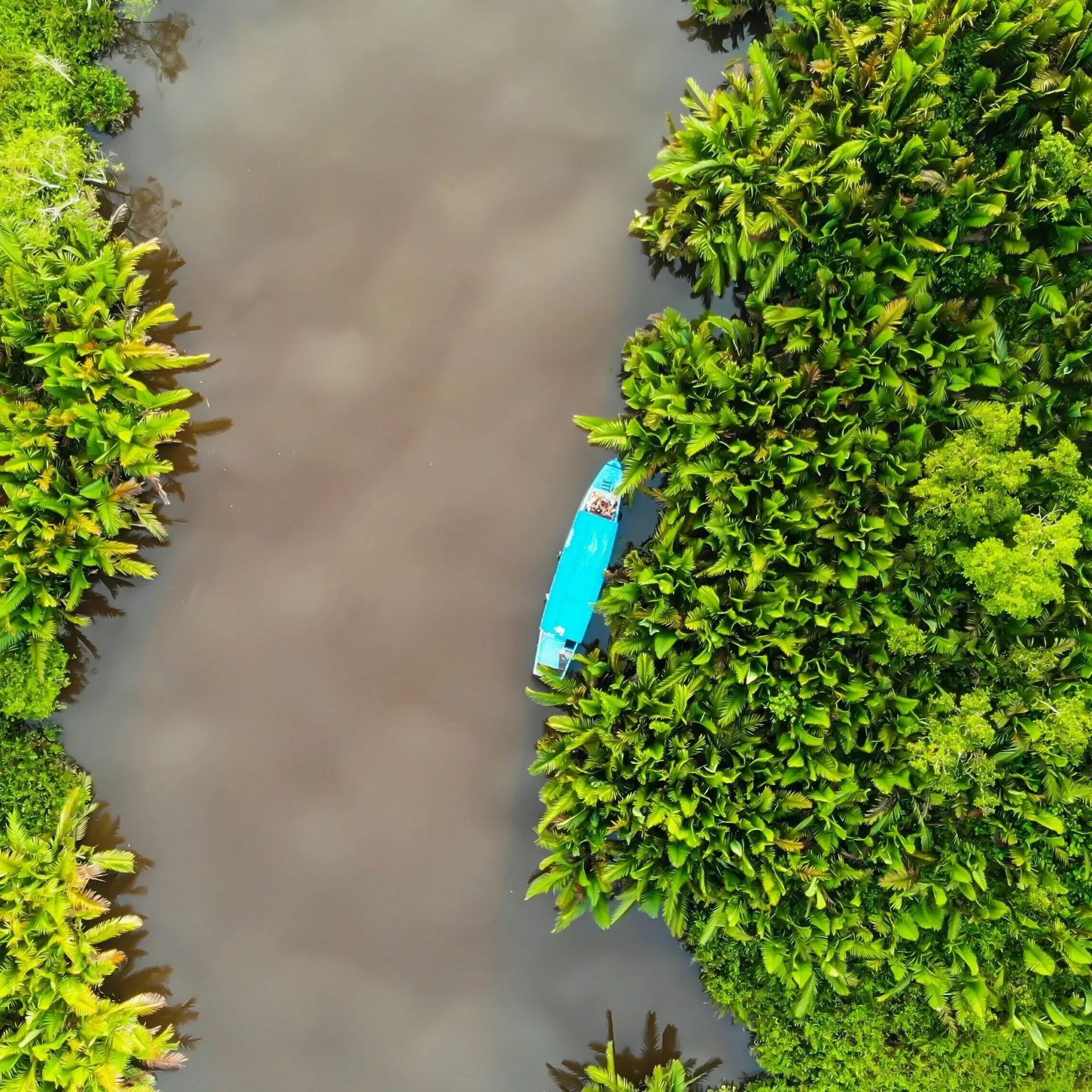 Carles rabada f4fco8nunue unsplash