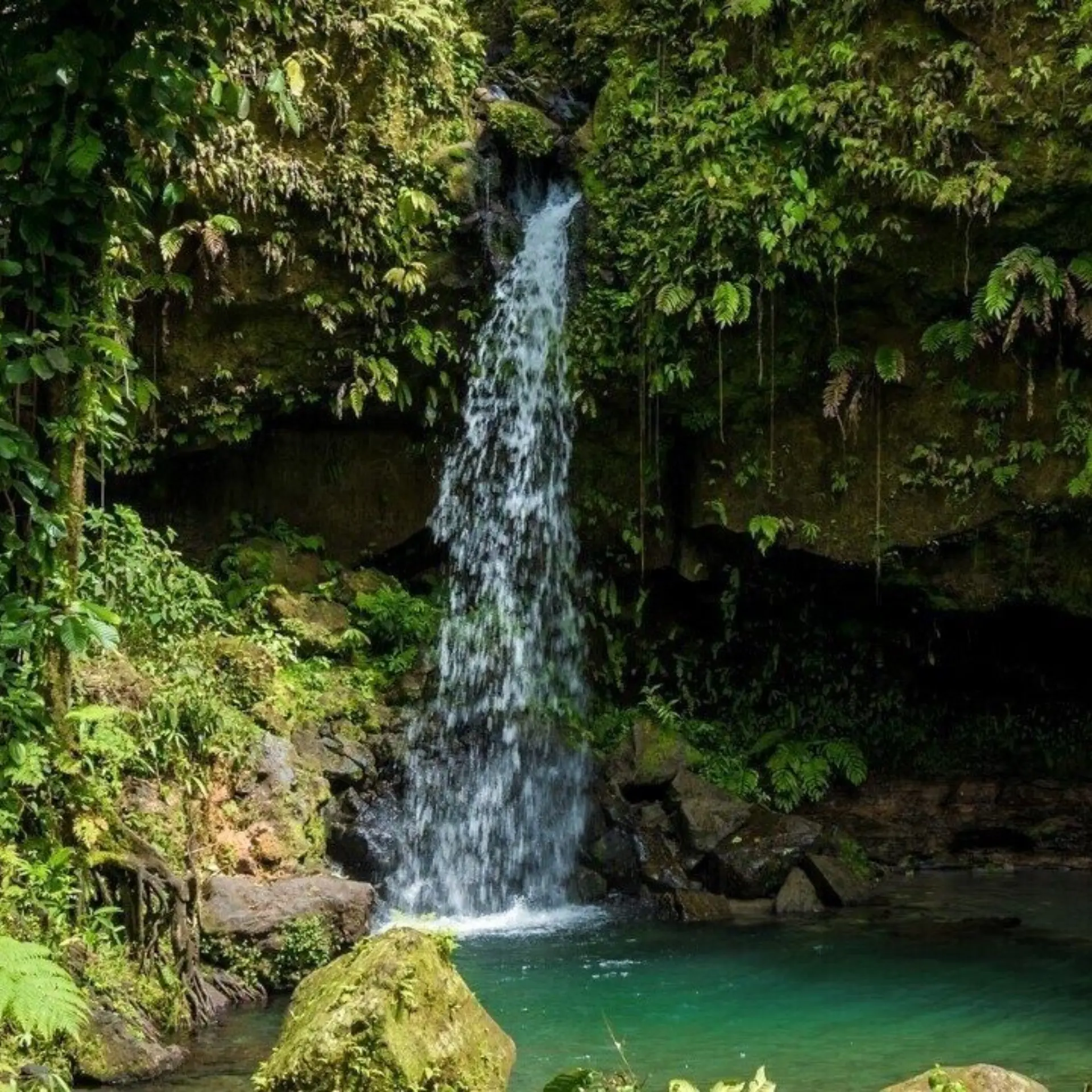 Emerald pool edited 2