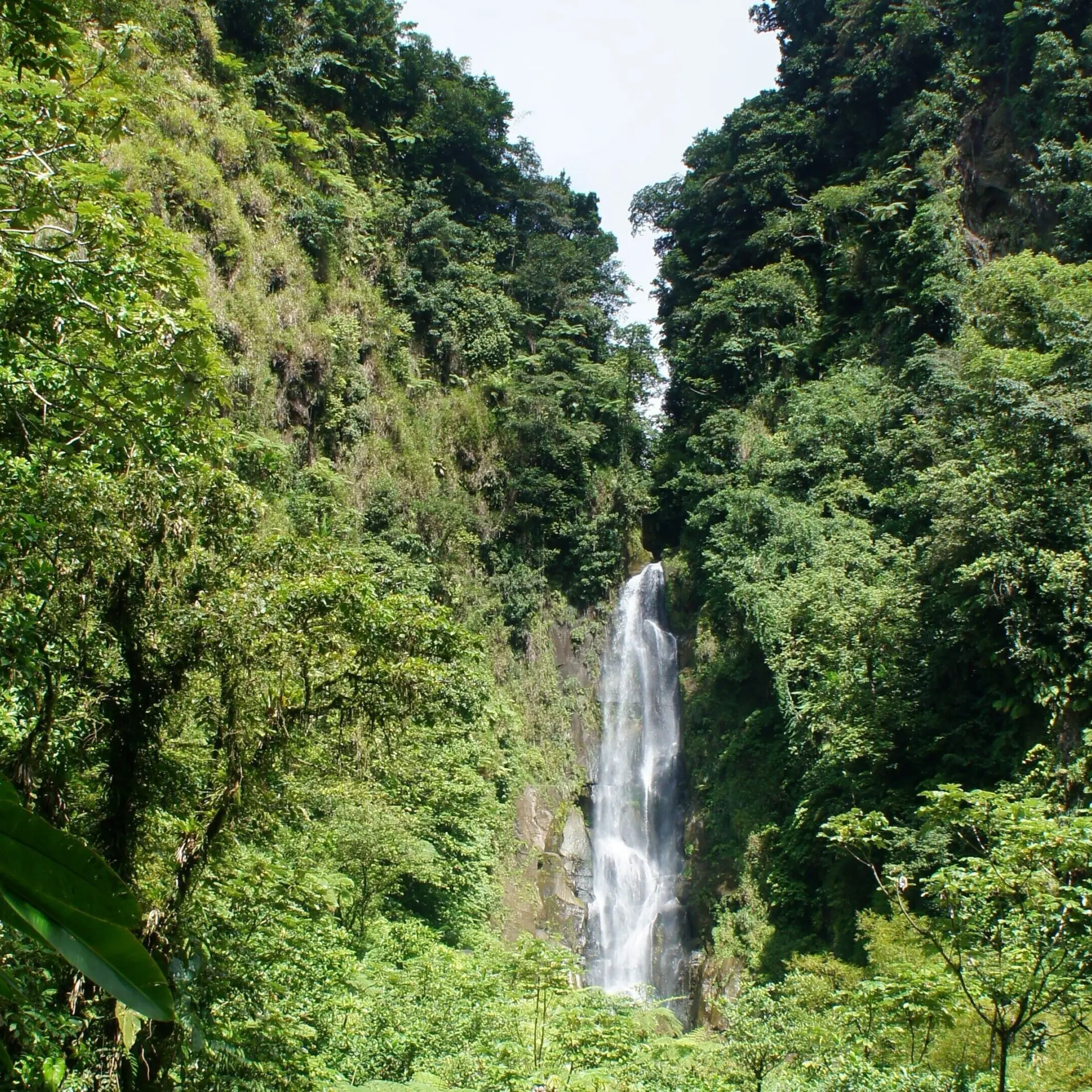 Dominica waterval