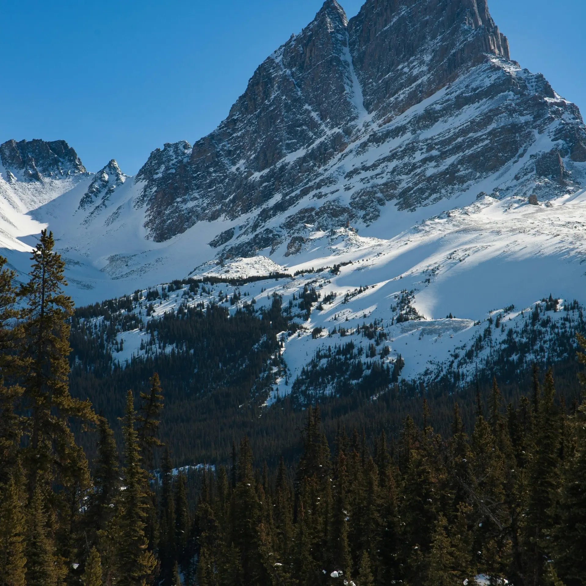 1763748705526jasper guy tfwjfjjtz3o unsplash