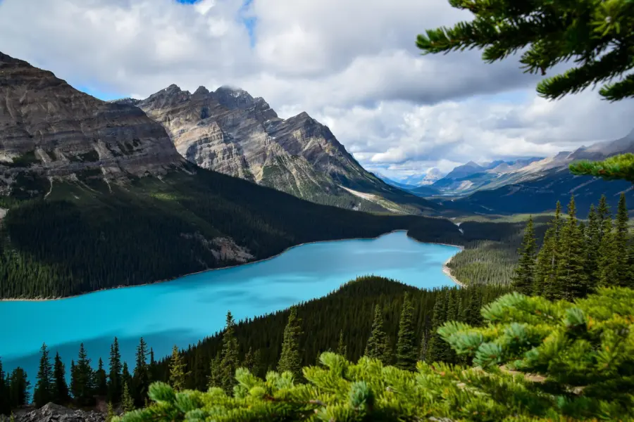 Peyto lake alberta canada