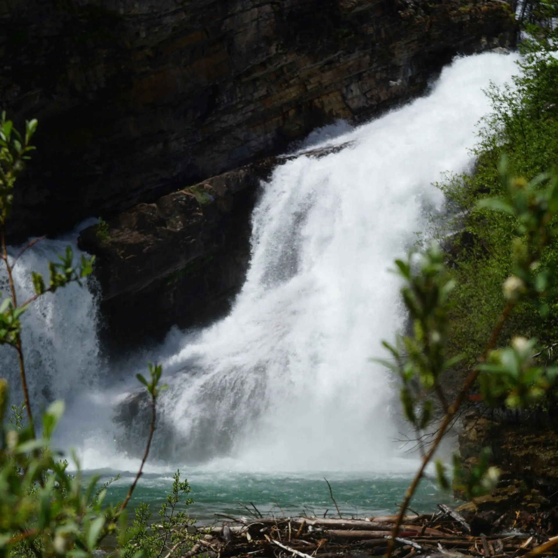 Joey lai uhz91td7h 0 unsplash