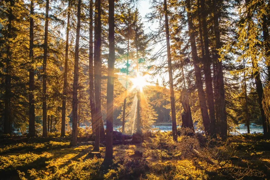 Garrick sangil 3y4nafb zgg unsplash