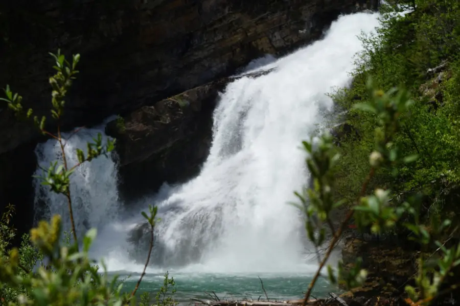 Joey lai uhz91td7h 0 unsplash