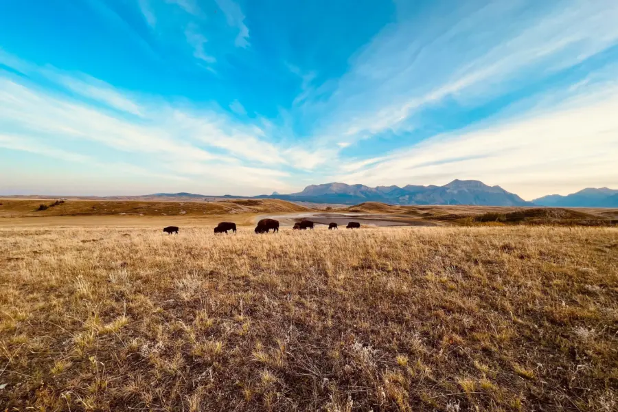 Gabriel rojas md4thja1m74 unsplash