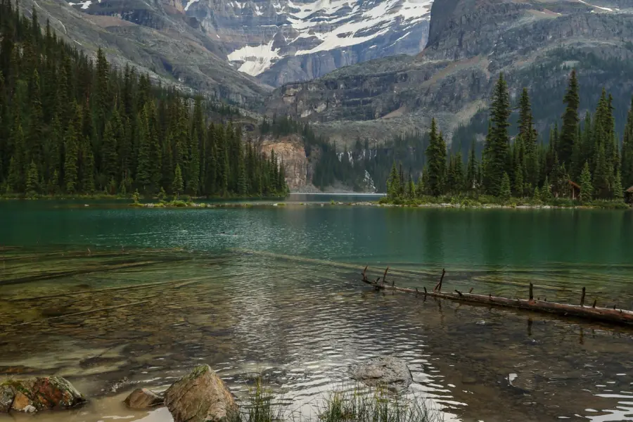 Andrew darlington lk rav9hpsw unsplash