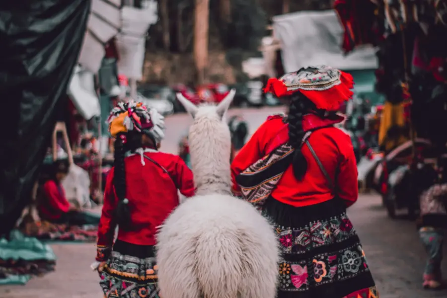 Hibeth rodriguez wvyy5rmdmg unsplash