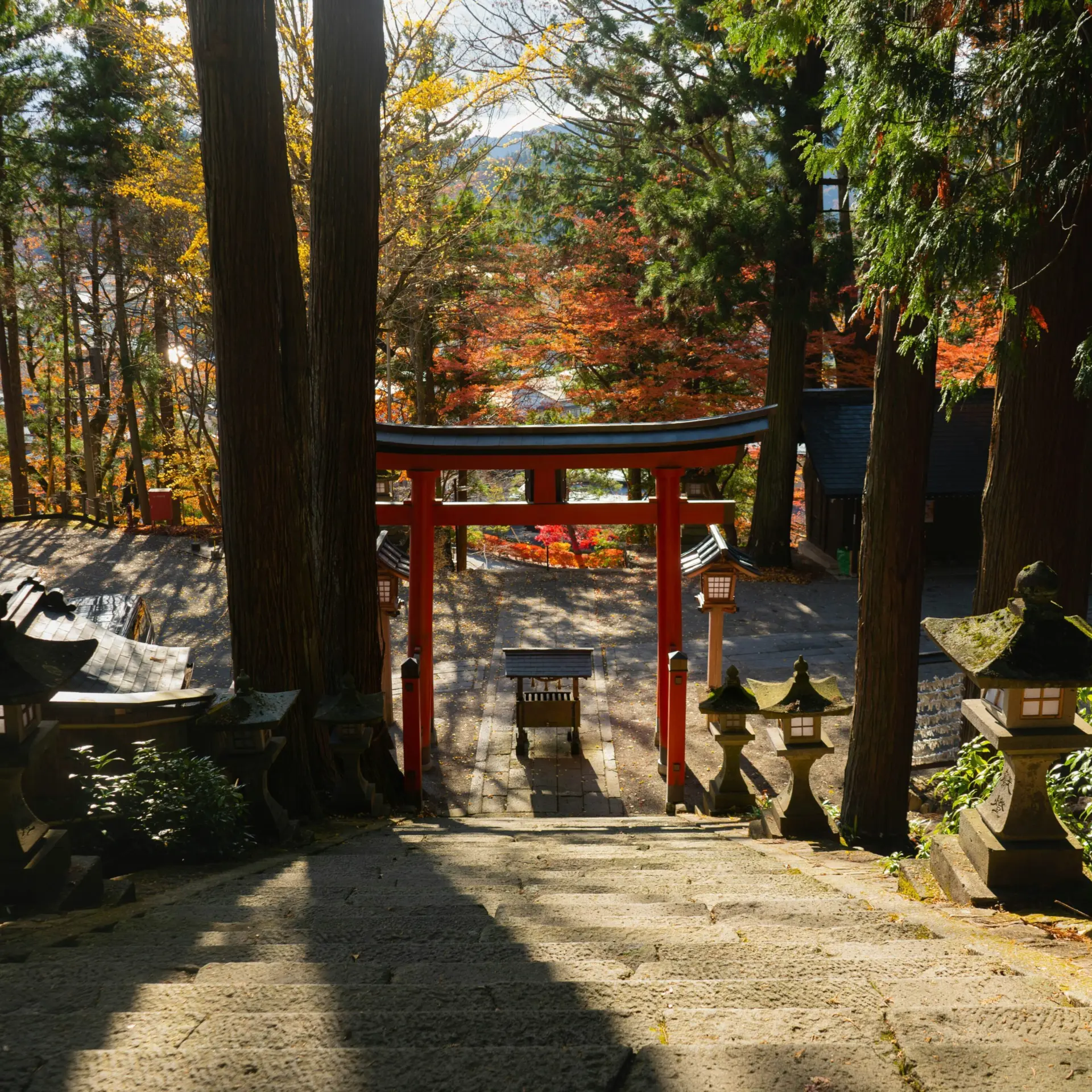 Lucas calloch jluboxtvdxo unsplash