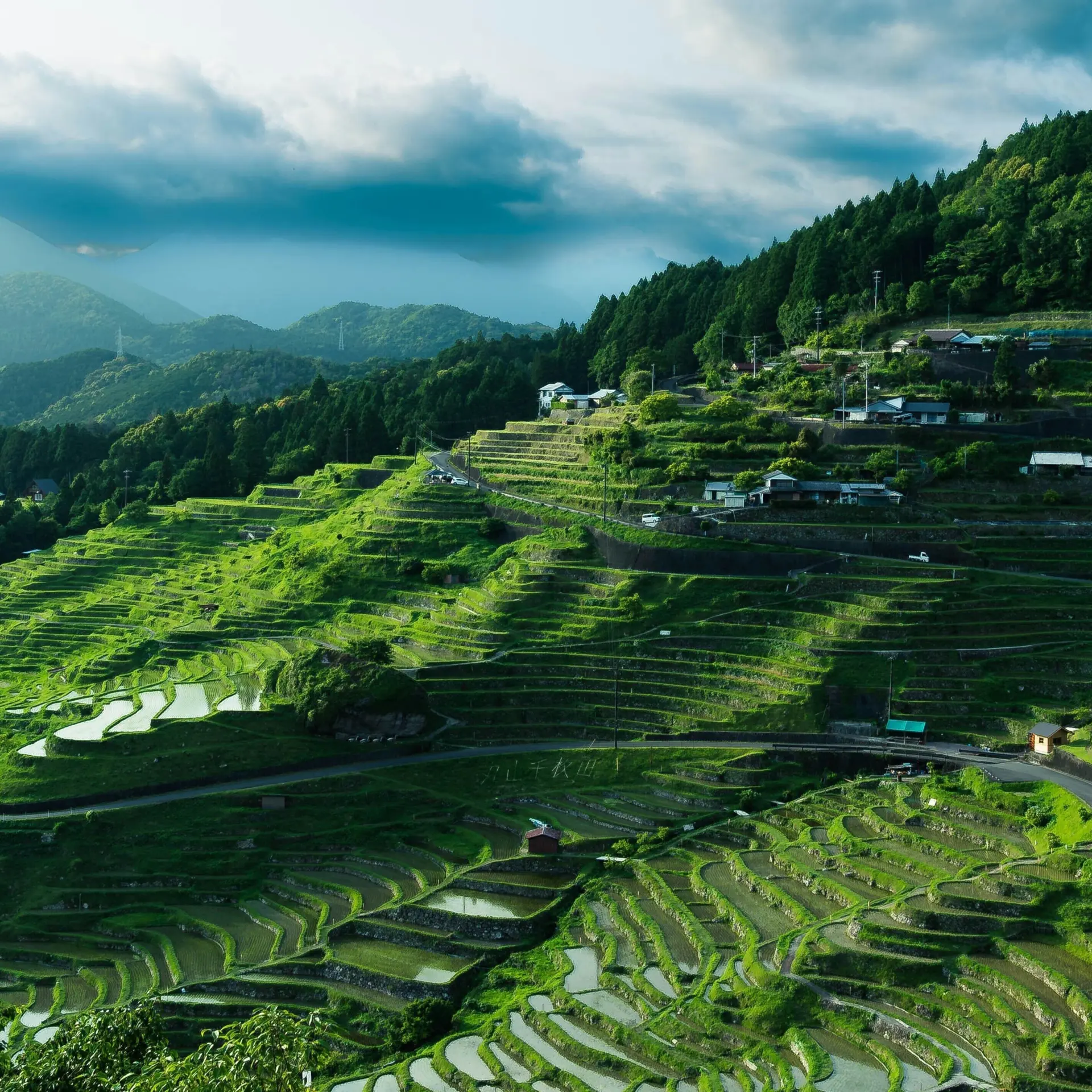 Soichiro ito ryje9g01uvs unsplash