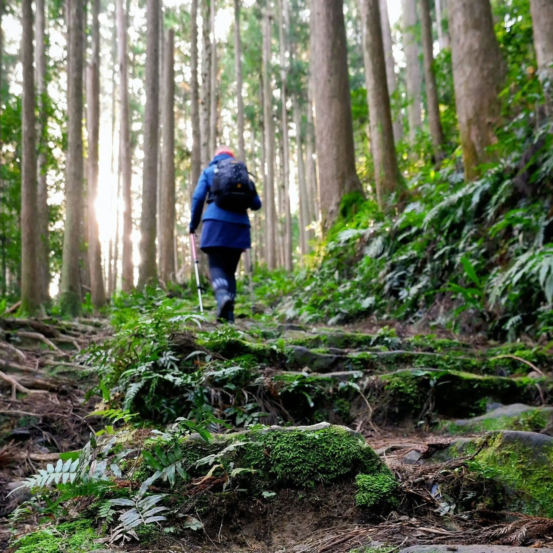 Susann schuster mkji6fsxy4 unsplash1