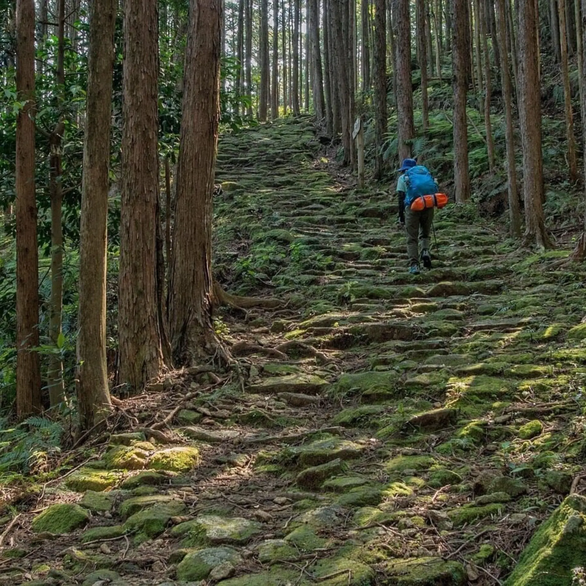 Kumano kodo 23891571280